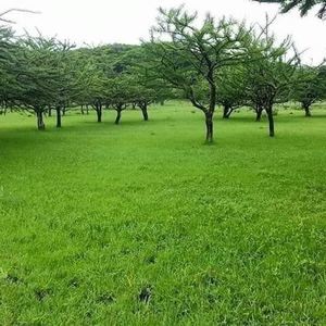 Meet your Posher, Miguel